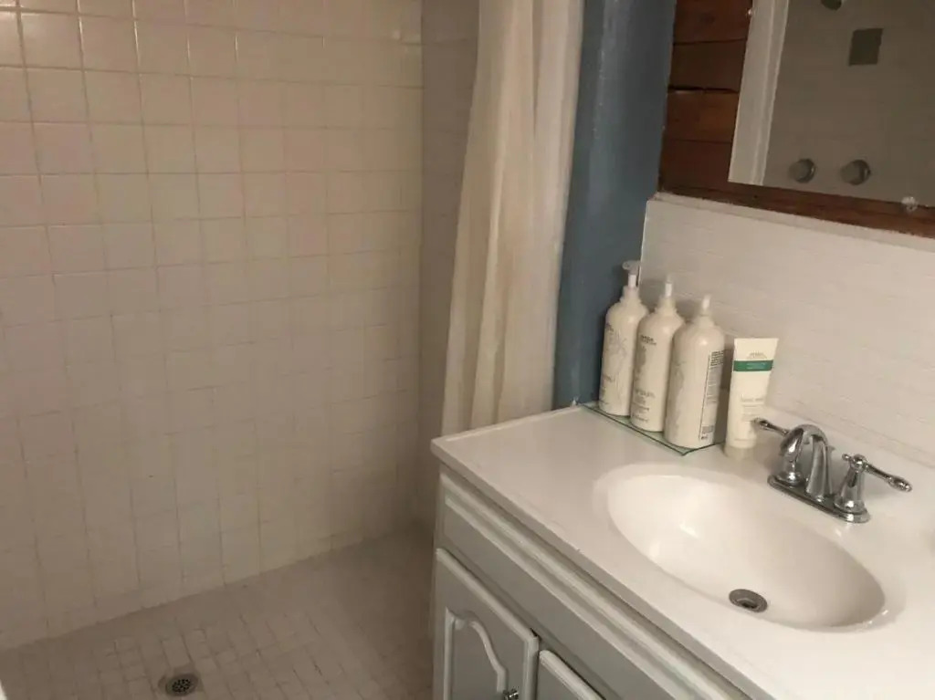Dragonfly Cottage 1 of 5 listings downtown