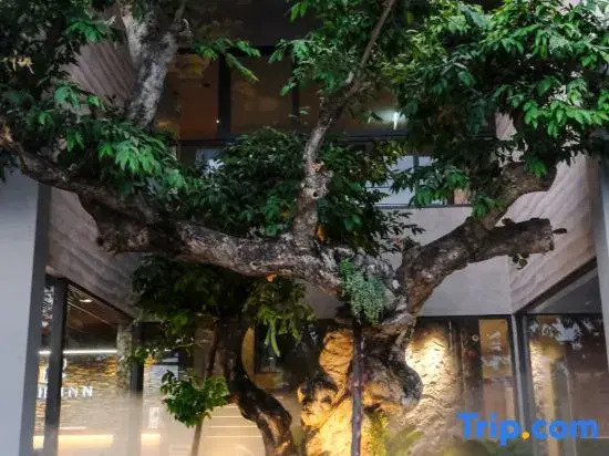 Lush inn Phuket