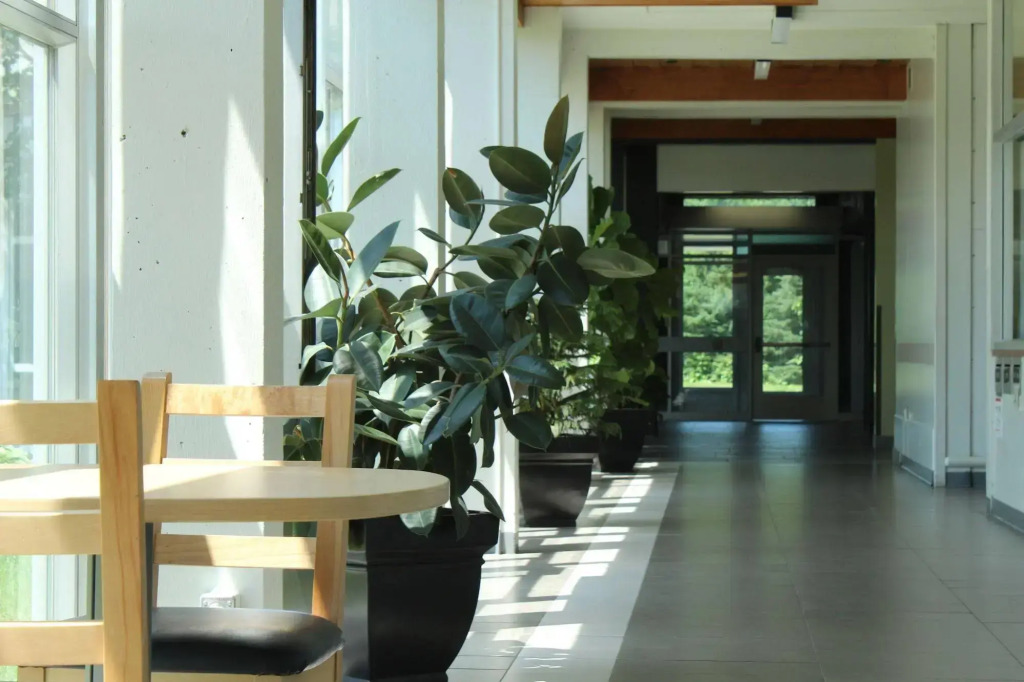 Résidences Université Laval