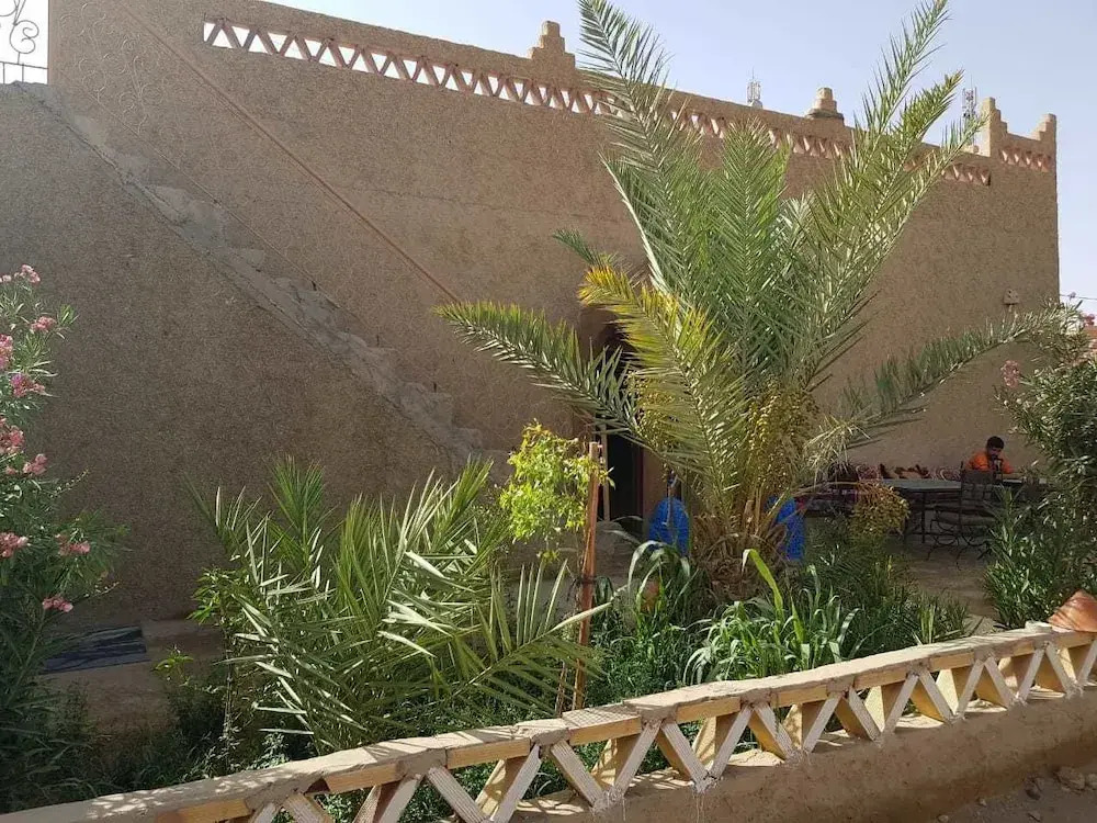 Riad Desert Camel