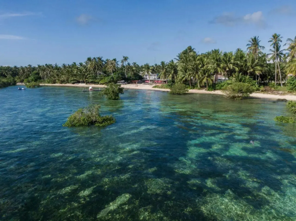 Reef Beach Houses
