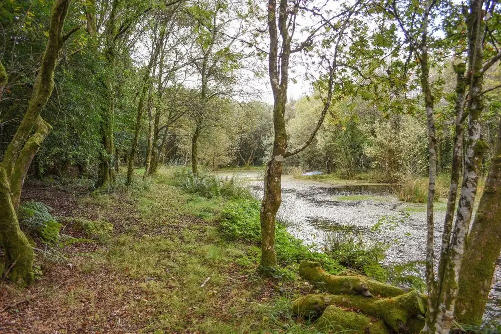 The Linhay, Throwleigh