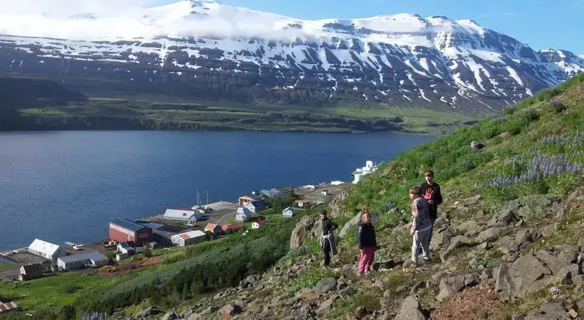Einsdæmi Holiday Home