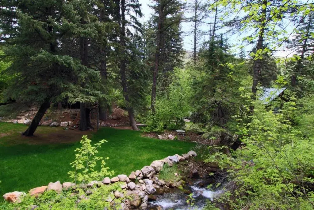 Treehouse On The Stream Sundance, Utah