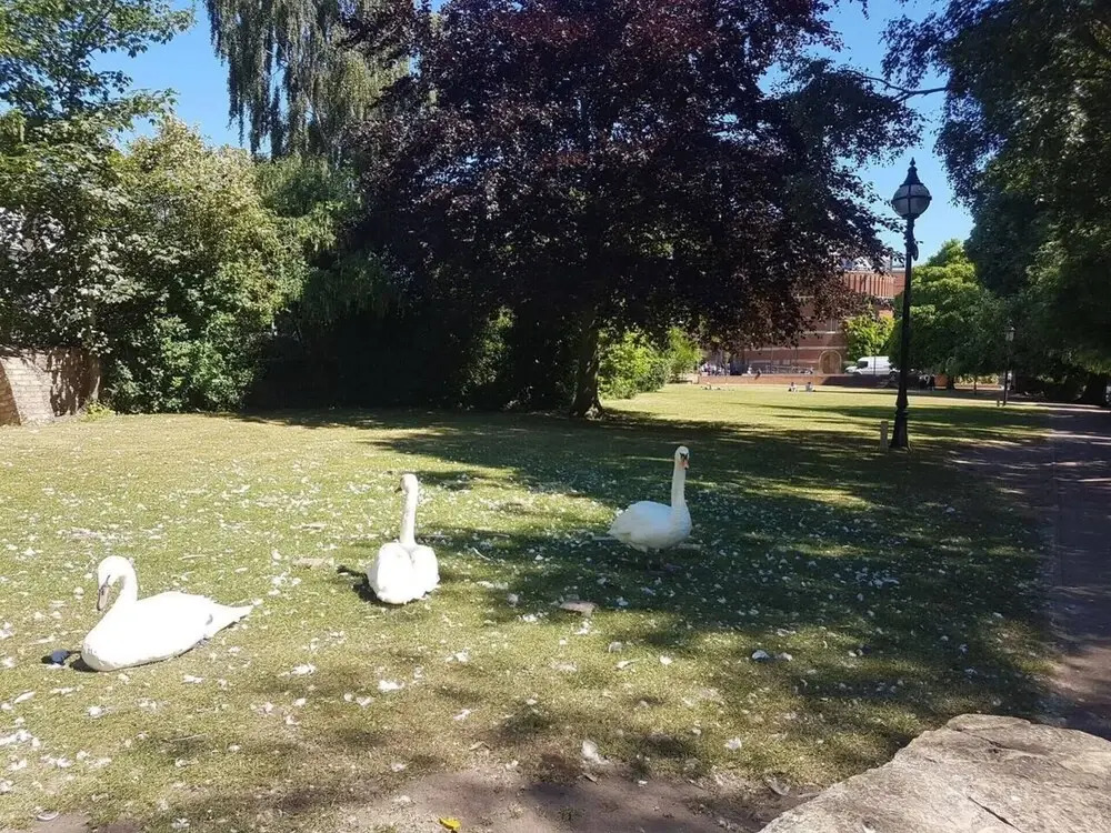 3 Bed House, Central Stratford-upon-avon