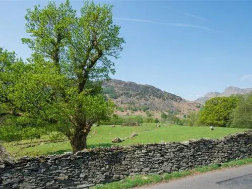 Chapel Tree