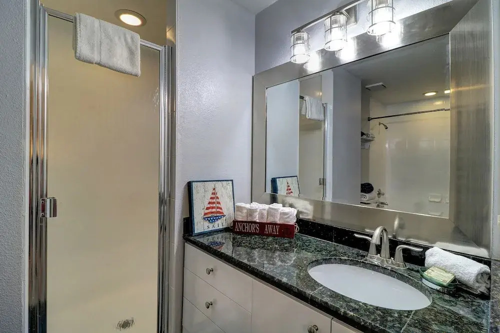 Beach Palms 504
