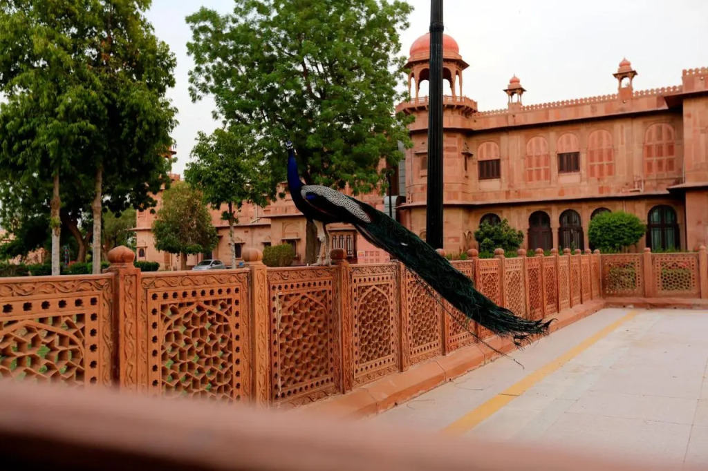 The Lallgarh Palace - A Heritage Hotel