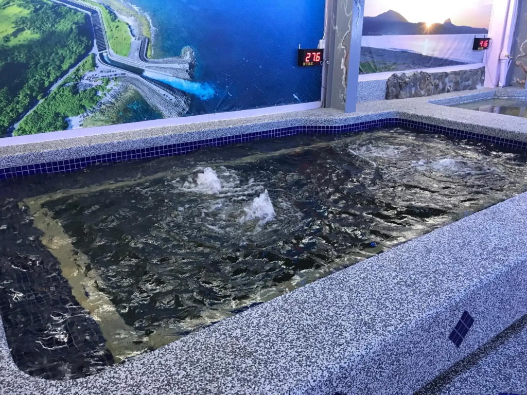 Kenting Maldives Hotspring Hotel-Pet friendly