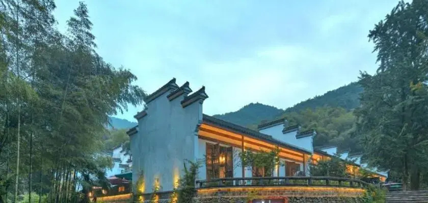 Kaiyuan Hotel · Seabirds