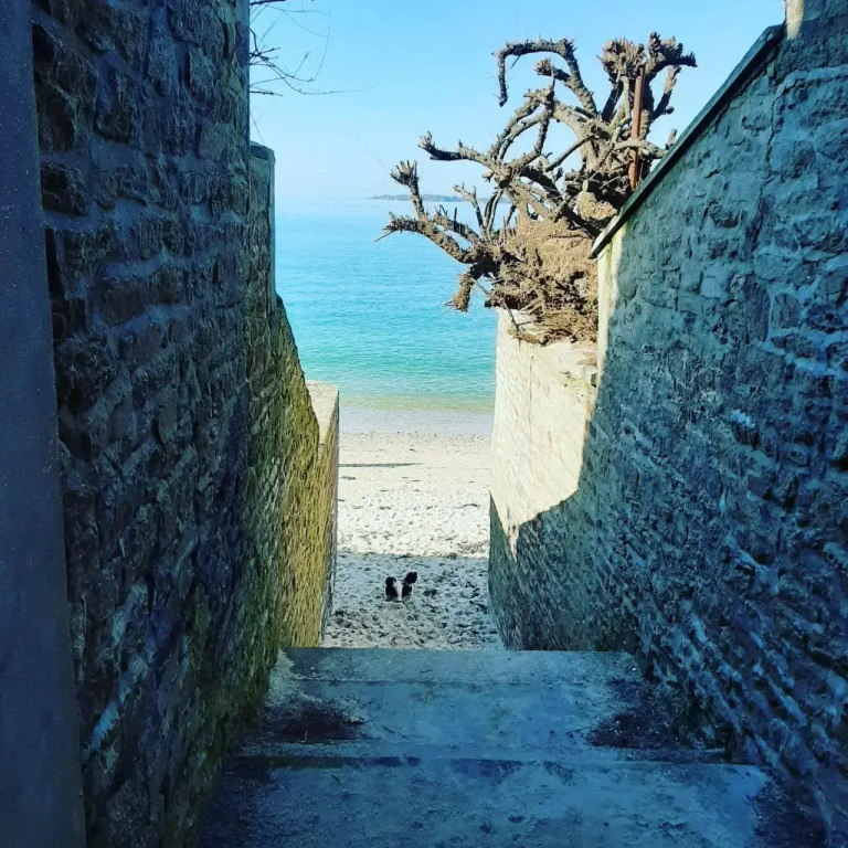 La SUITE VUE MER