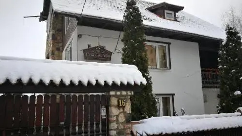 Pension Casa Contelui