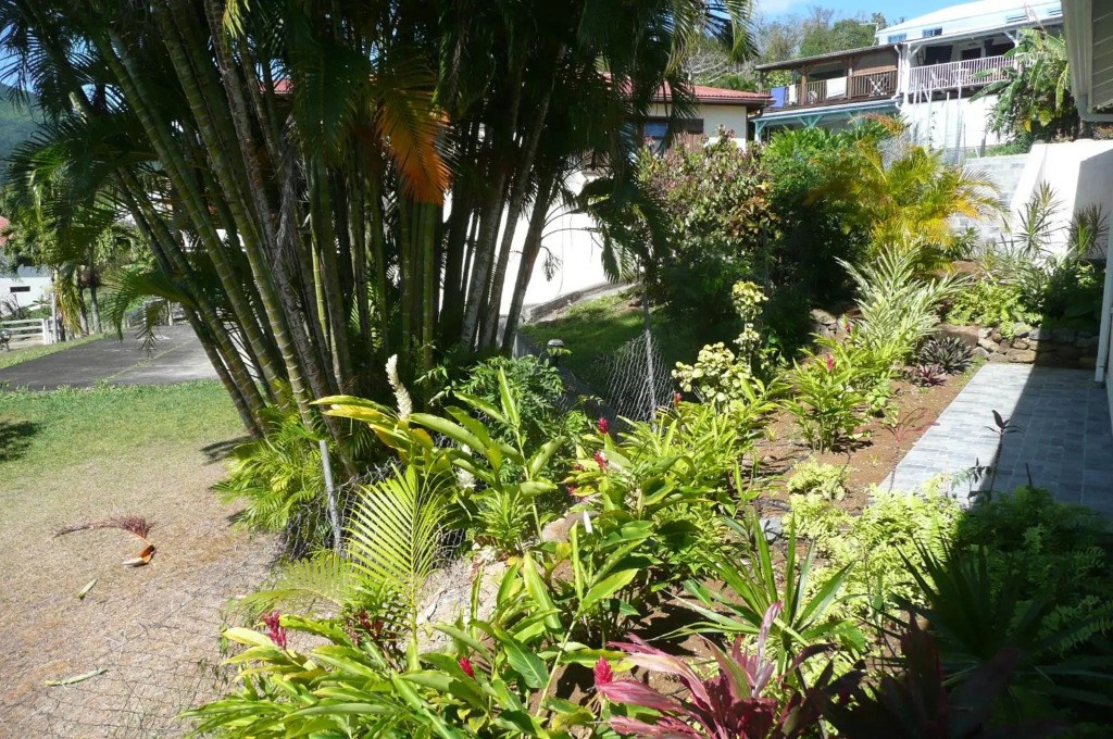 Douceurs Caraïbes, Gîte Alpinia