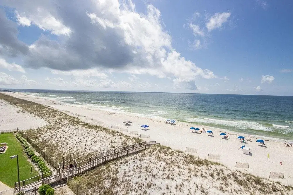 Dolphin Key #4B