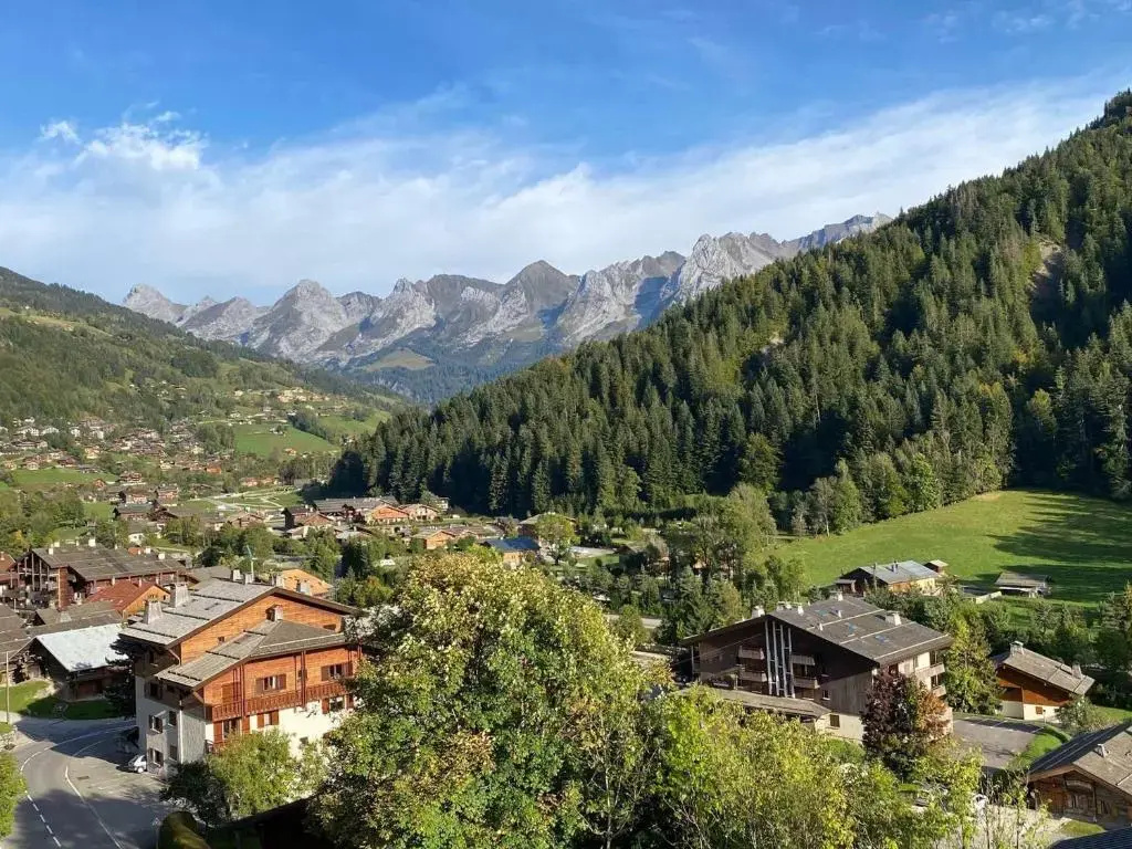 Appartement T2 ensoleillé, 5 couchages - Le Grand-Bornand - FR-1-241-54