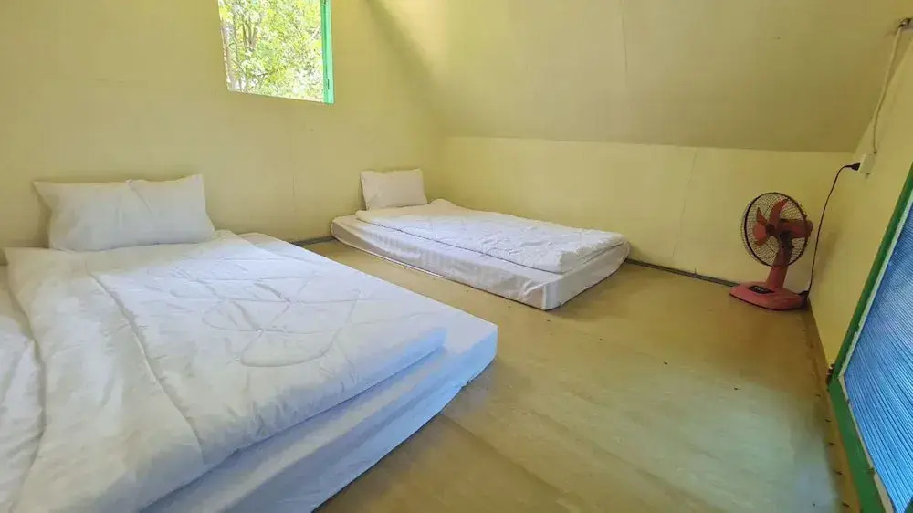 Plankton Bungalow and Camping