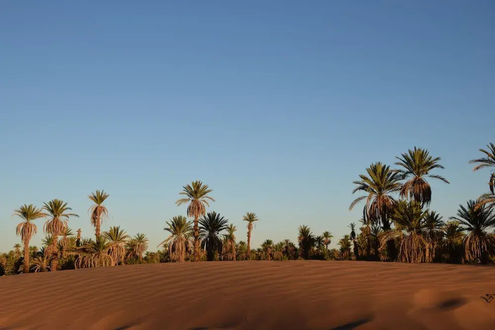 Carrefour des Nomades