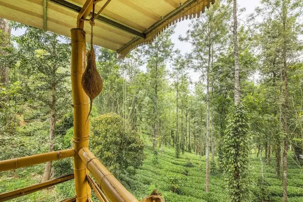 GuestHouser 4 BHK Tree house 7d51