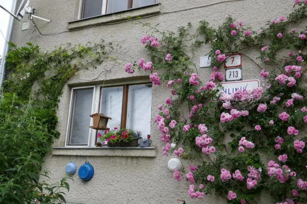 Apartment at Sedliacky Dvor - Brezno