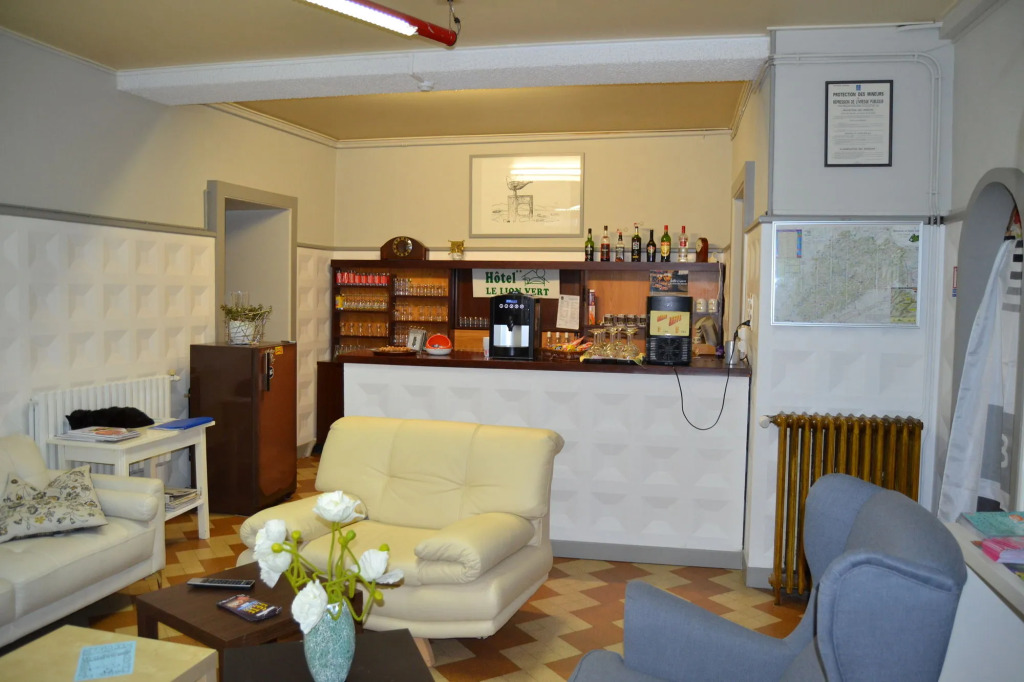 Hôtel du Lion Vert