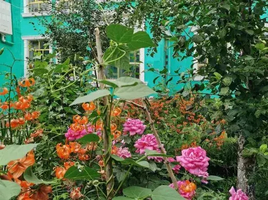 Yijing Farmhouse