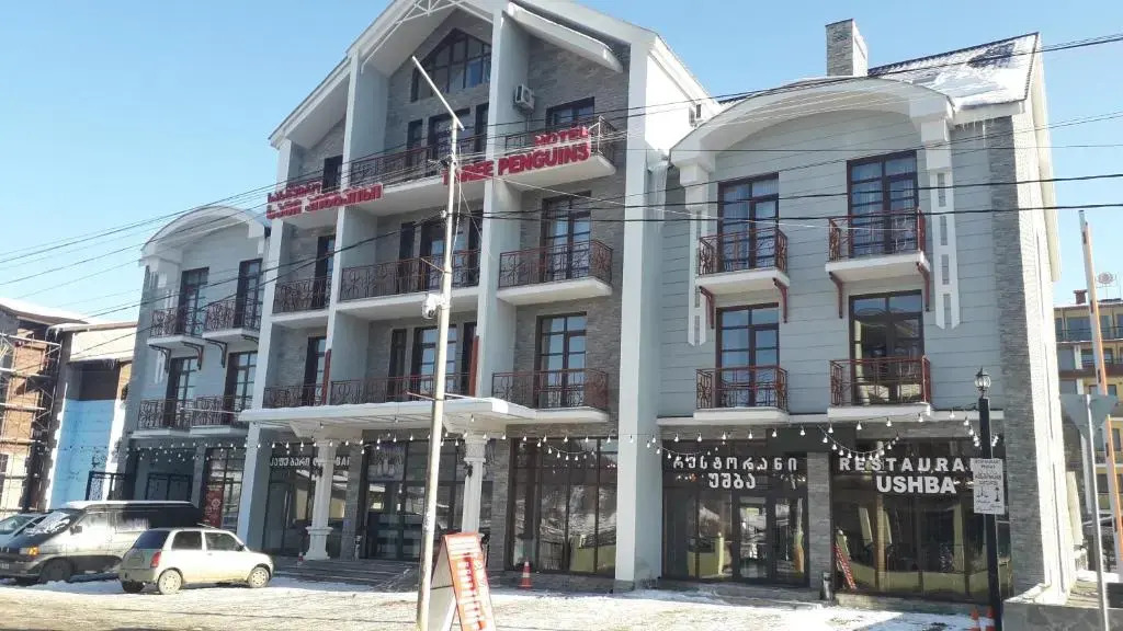 2 room apartment in Bakuriani