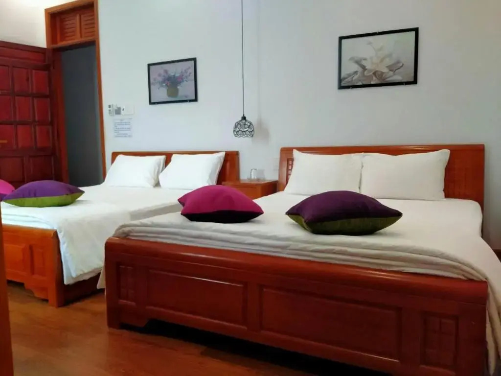 Việt Homestay