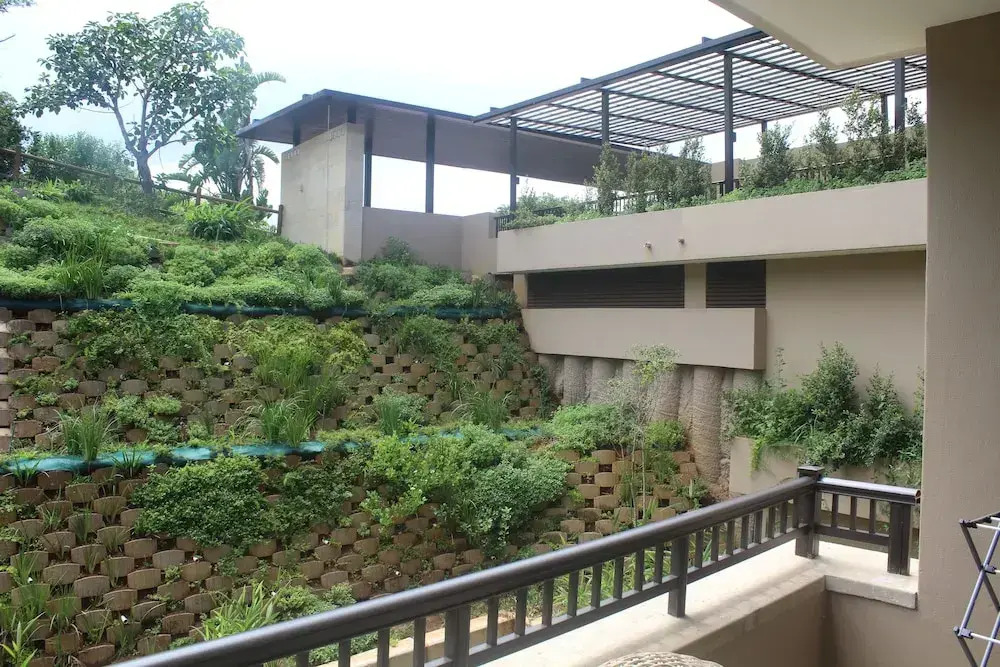 Zimbali Suite 318 424