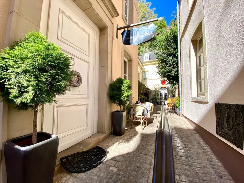 Beautiful 1BR Apt w View Historic Town