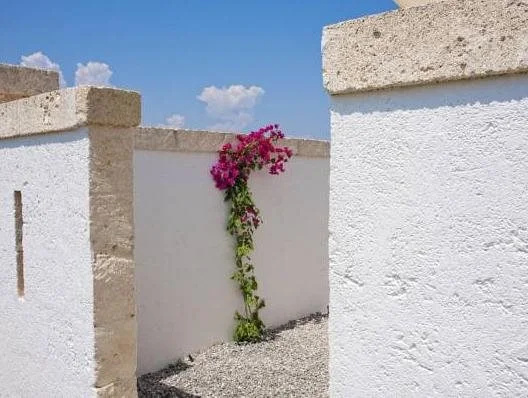 Masseria Bucadue - Maison dhôtes