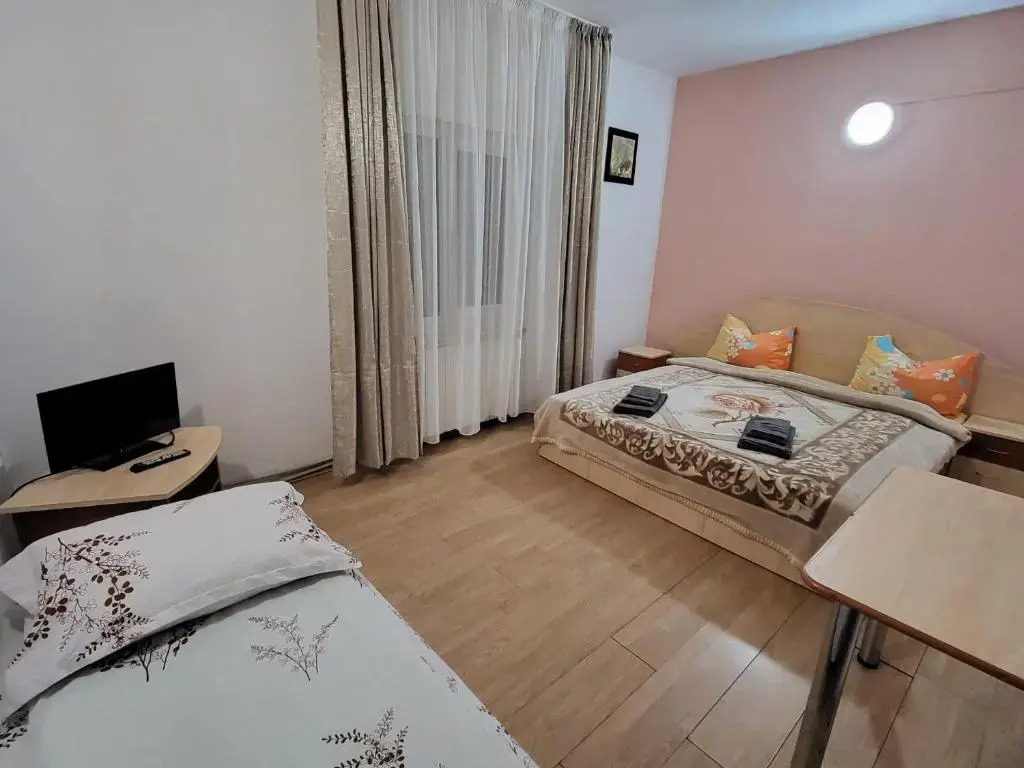 Vila 41 Busteni