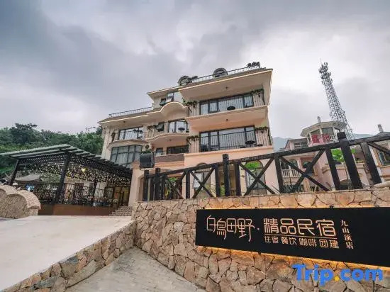 White Bird Field B&B (Jiu Shan Shan)