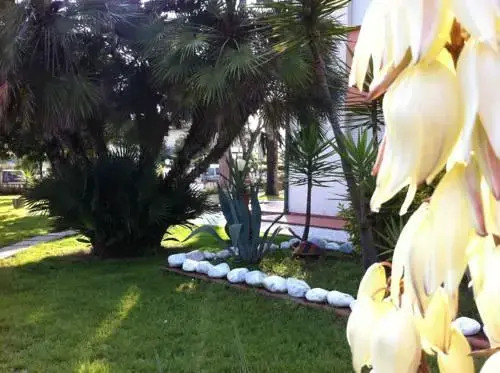 Hotel La Palma