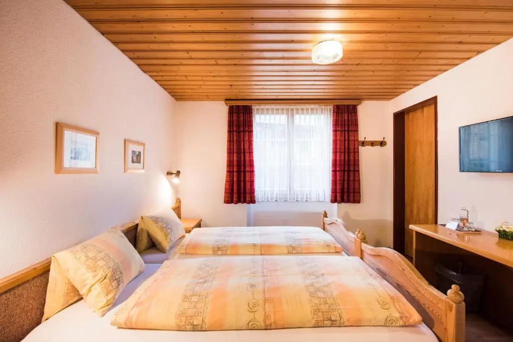 Hotel Brienzerburli