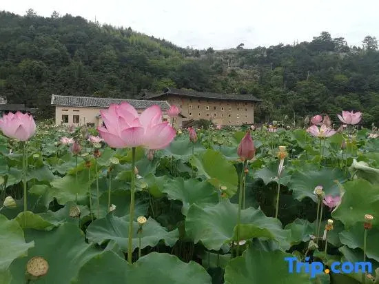 Yunshui Yaotianfa Homestay