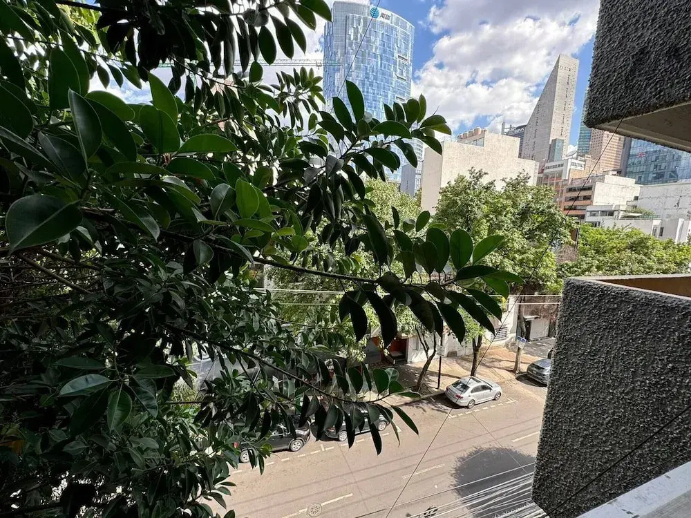 Apartment Near Reforma Agel