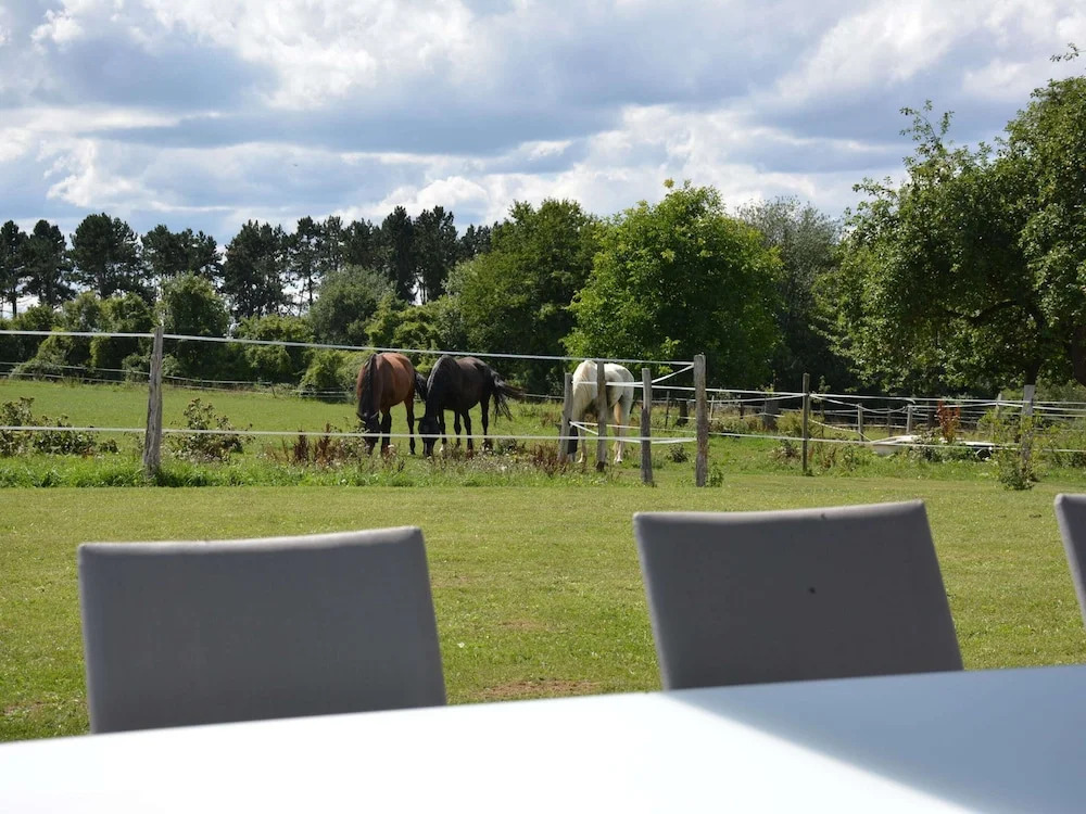 Modern villa in Rochefort close to the horses