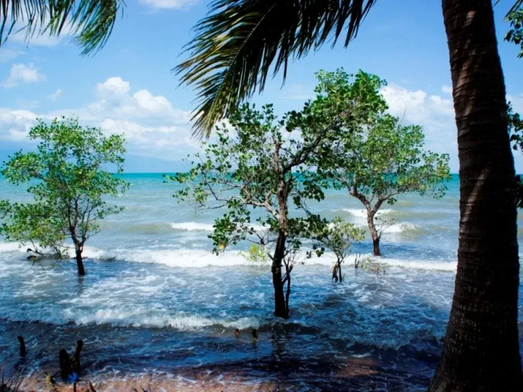 Bai Thom Cay Vong Nem Resort