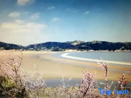 Zhoushan Peach Blossom Island Play Sand Sea View Homestay