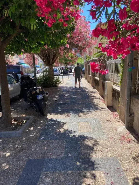Ajaccio Charmant T2 neuf 40m2 avec balcon au Trottel wifi Clim parking plage à pieds 100m