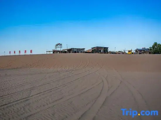 Zhongwei Mogang Starry Sky International Desert Campground