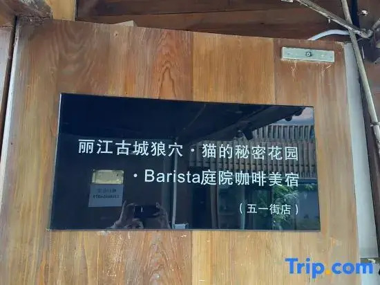 ‌The Secret Garden of Cats & Wolf's Den | Barista Courtyard Cafe & Inn (Wuyi Street)