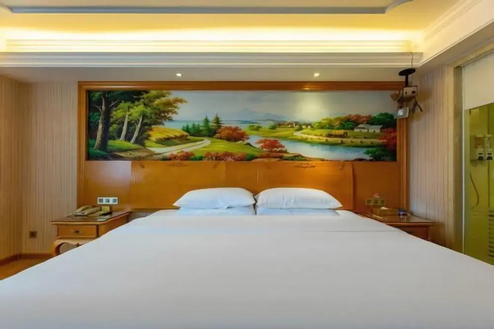 Vienna Hotel (Xinhua South Store, Hankou North Road, Wuhan)
