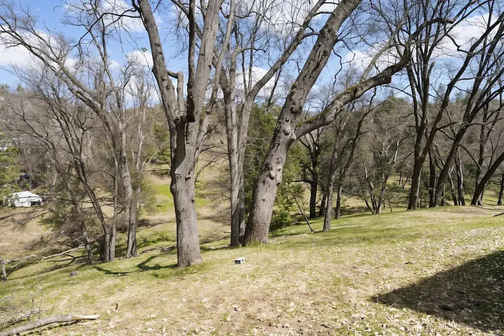 Bigfoot Retreat - Close to Golf and the Beach by Yosemite Region Resorts