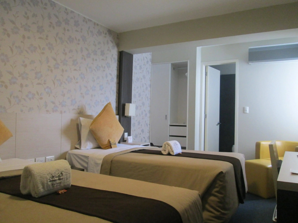 Palmetto Hotel Business San Miguel
