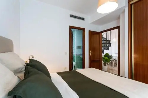 Apartamentos San Lorenzo
