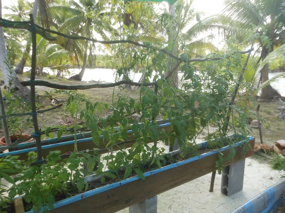AOTERA GUEST HOUSE