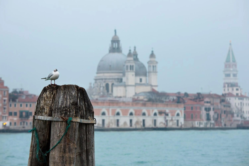 Ca San Polo - Ferretti Hotels Collection