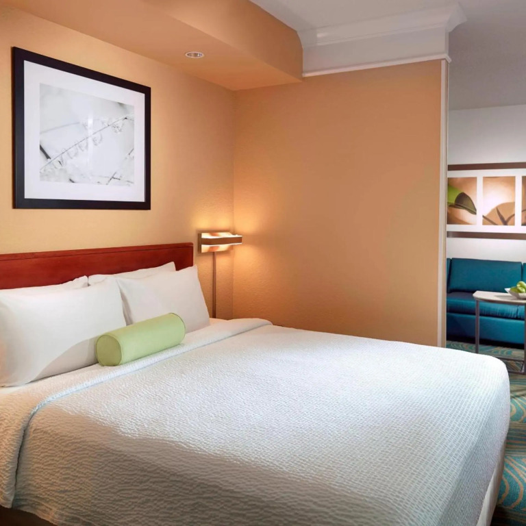 SpringHill Suites by Marriott Atlanta Buckhead