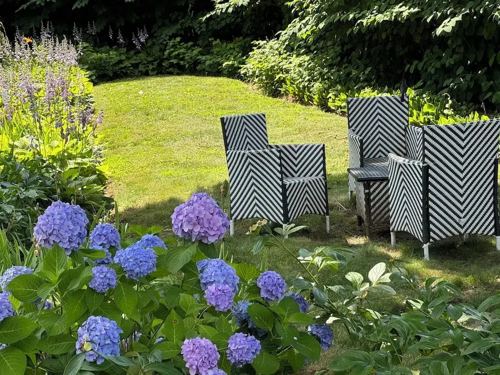 James Pharmacy Bed & Breakfast